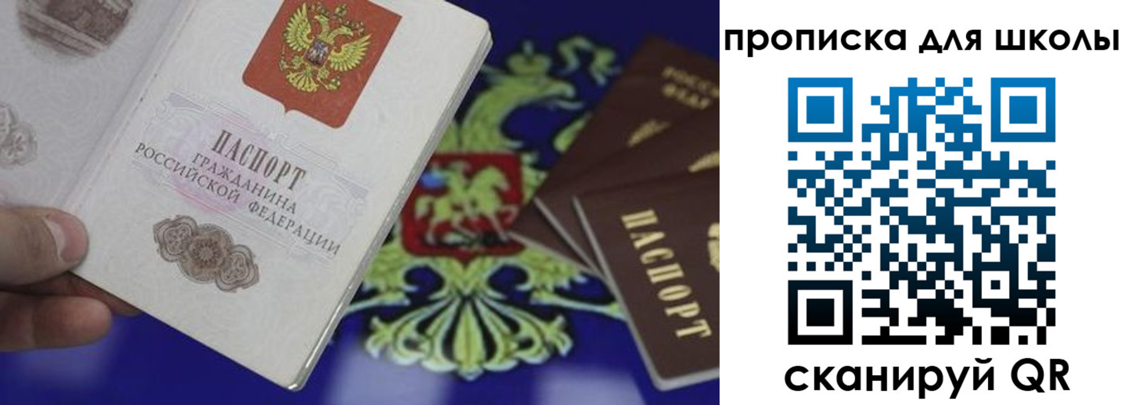 прописка в квартире в Раменском